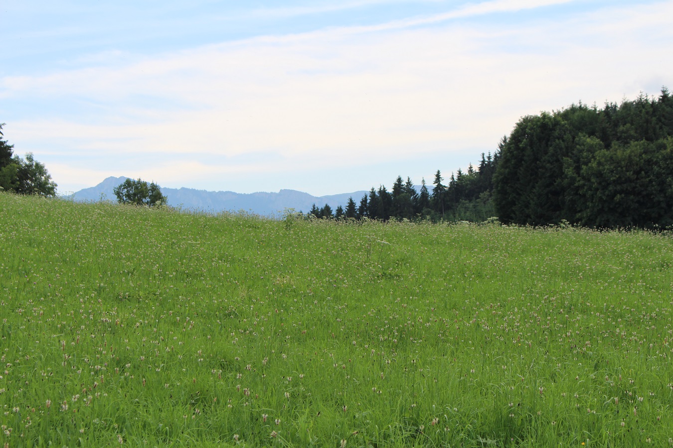 Bayern Hoetzelsperger Berge